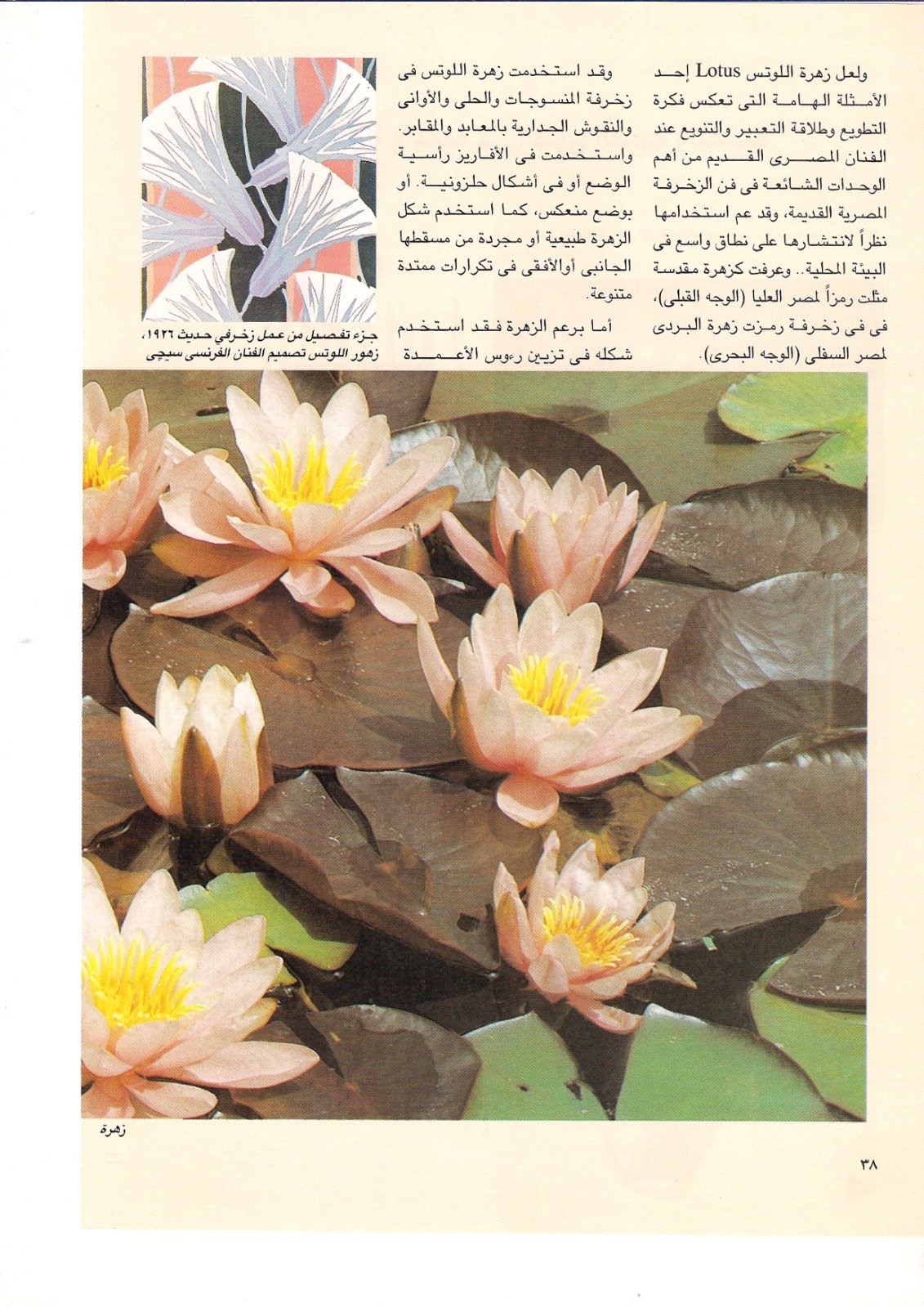 عادل عبد الرحمن احمد