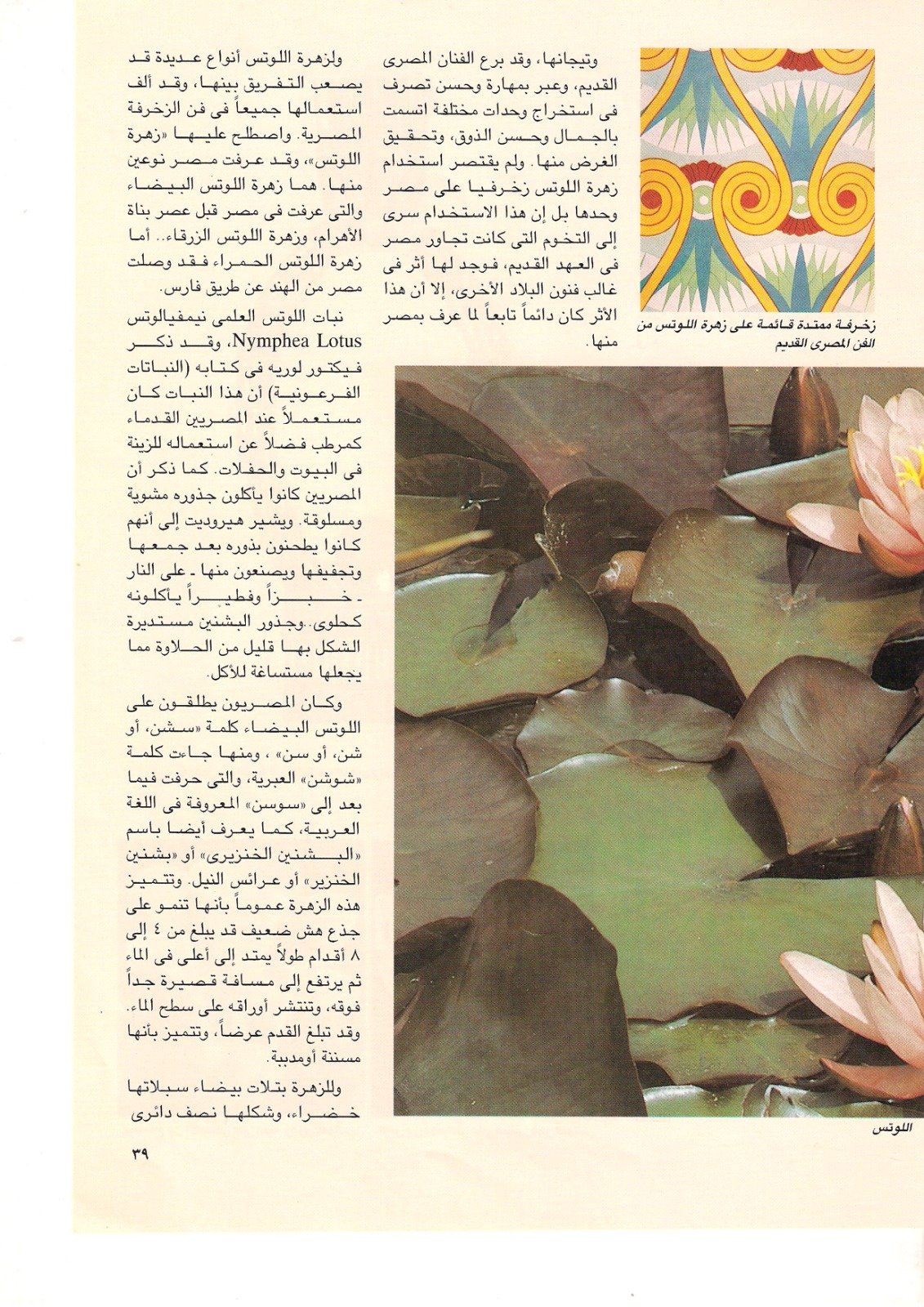 عادل عبد الرحمن احمد