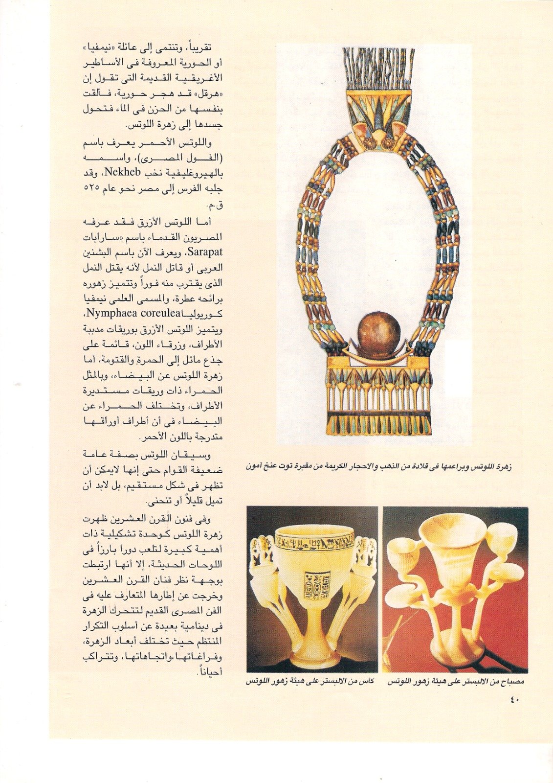 عادل عبد الرحمن احمد
